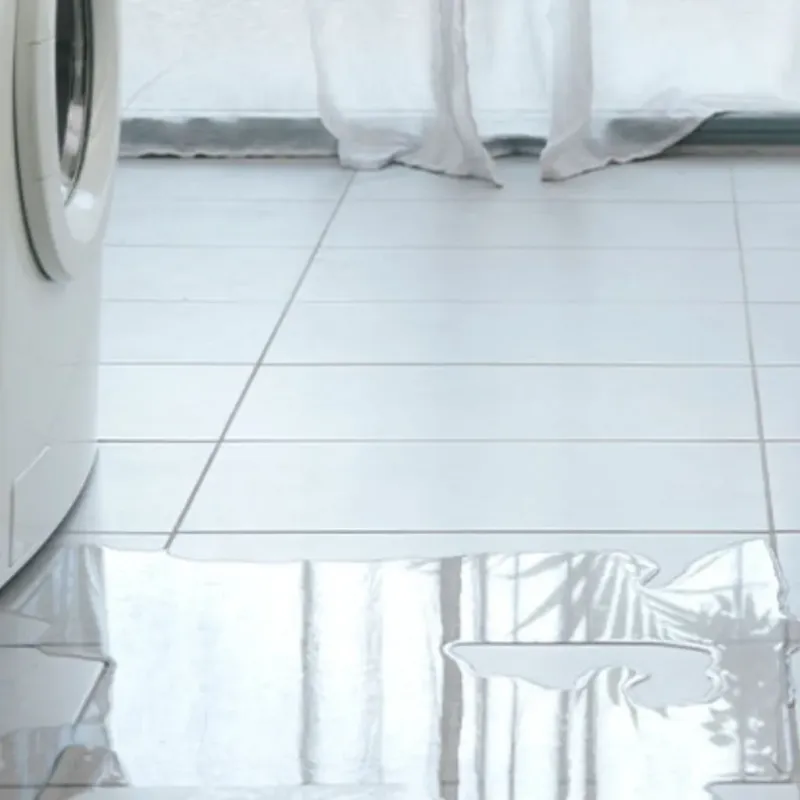 Appliance Leak Cleanup in Vermillion County, IN