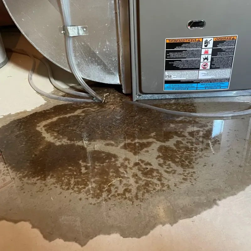 Pipe Burst and Leak Restoration in Vermillion County, IN