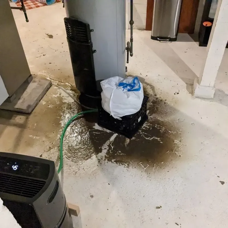 Sewage Backup Cleanup Service in Vermillion County, IN